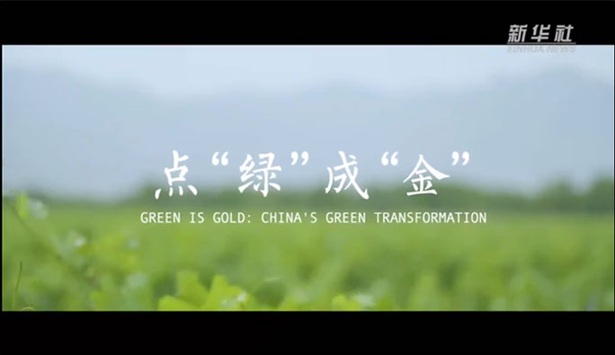 点“绿”成“金”