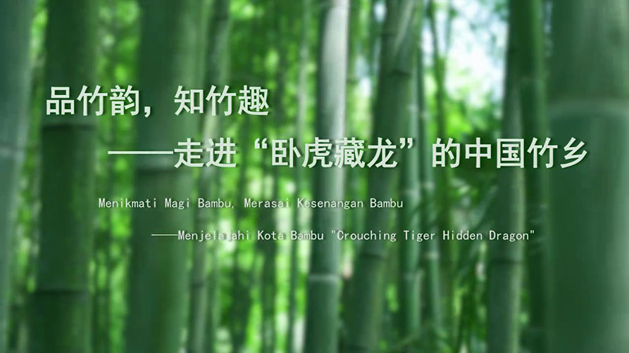 品竹韵，知竹趣——走进“卧虎藏龙”的中国竹乡