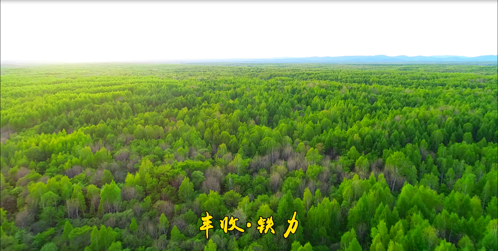 一、首届“打卡铁力  遇见美好”抖音短视频大赛优秀作品《丰收铁力》
